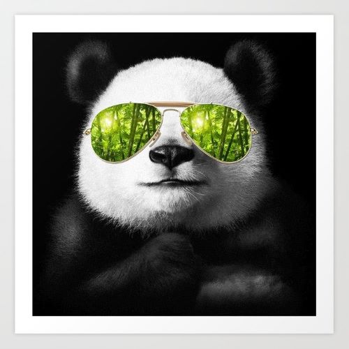 Foto coole panda